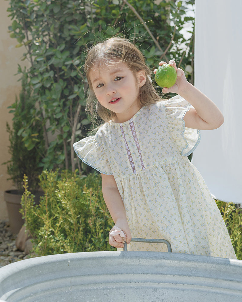 Adeline Dress-Blue